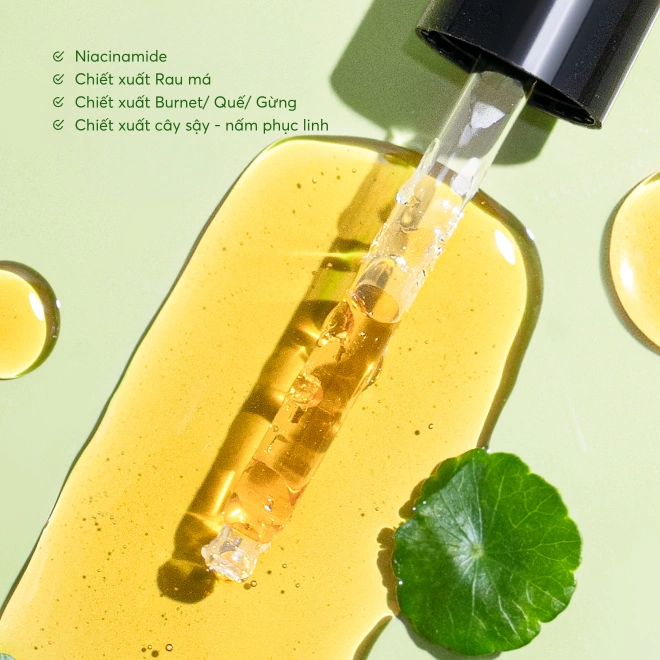 [SET QUÀ TẶNG] Dưỡng Ẩm Kiềm Dầu Serum Kem Dưỡng Rau Má