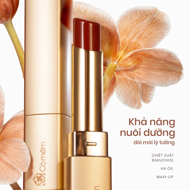Son Nhã - Sắc Màu Thanh Nhã