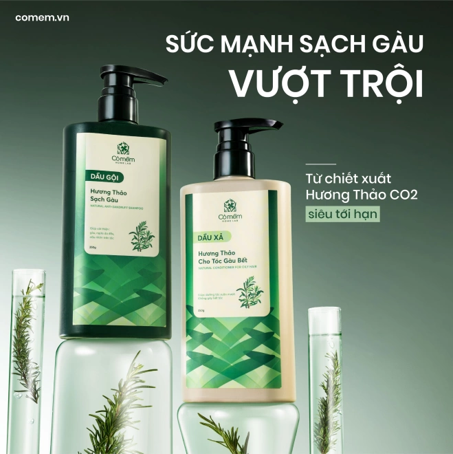 Combo Gội Xả Tóc Hương Thảo Giúp Sạch Gàu