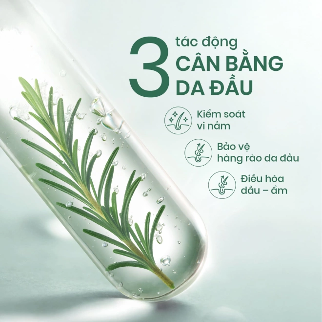 Dầu Xả Hương Thảo Giúp Dưỡng Tóc
