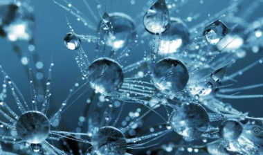 List 11 thỏi son màu hồng đỏ cực tôn da chỉ dưới 200k