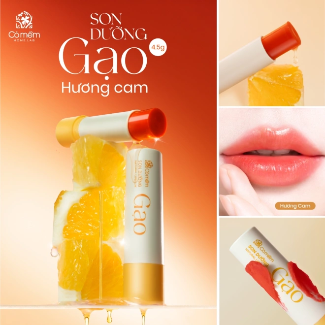 Combo Mặt Nạ Cho Da Dầu Mụn- Son Dưỡng Gạo