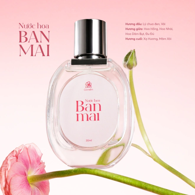 [Phiên Bản Đặc Biệt] Set Quà Thanh Xuân