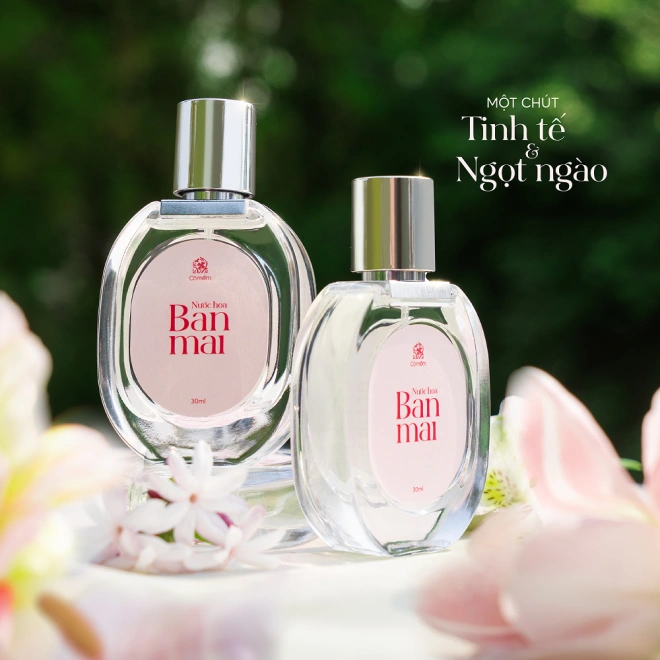 [Phiên Bản Đặc Biệt] Set Quà Sương Mai