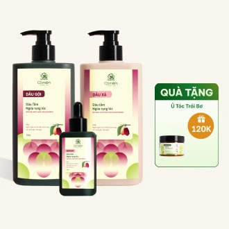 Bộ Chăm Sóc Tóc Ngăn Ngừa Rụng Tóc Dâu Tằm