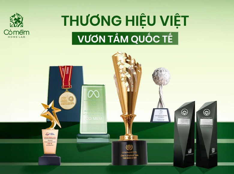 Cỏ Mềm: Hành trình từ thương hiệu truyền cảm hứng đến tiên phong phát triển bền vững