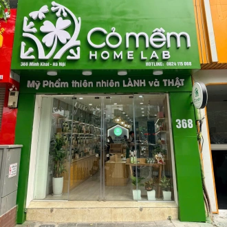 Cỏ Mềm Minh Khai, Hà Nội