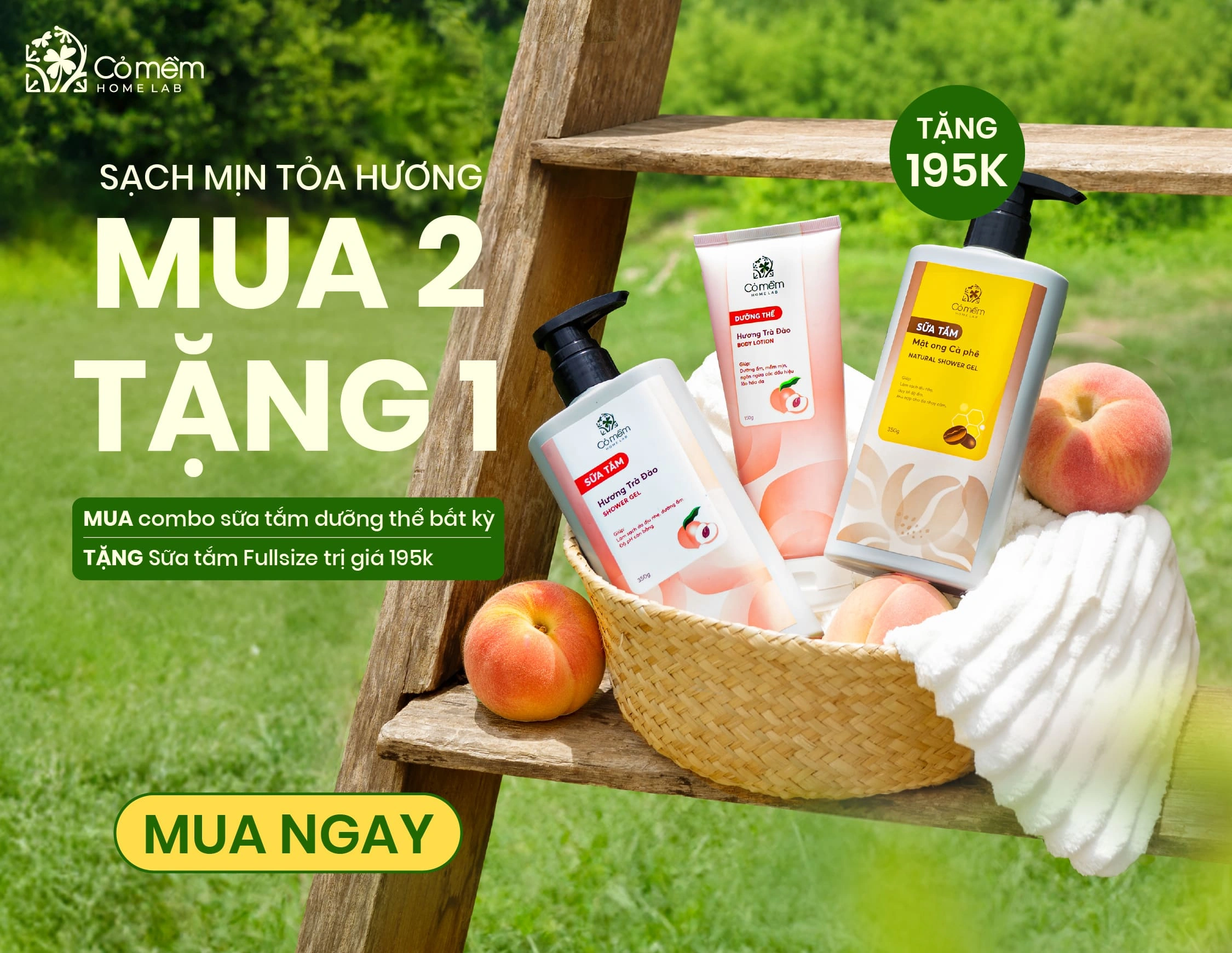 Banner Cỏ Mềm