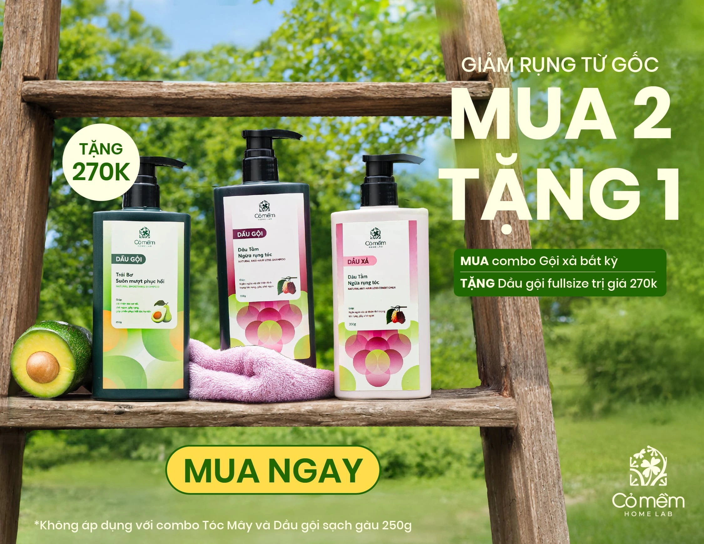 Banner Cỏ Mềm