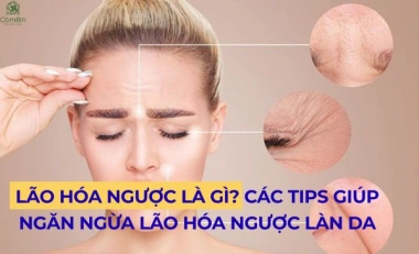 Lão Hóa Ngược Là Gì? Các Tips Giúp Ngăn Ngừa Lão Hóa Ngược Làn Da