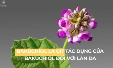 Bakuchiol Là Gì? Tác Dụng Của Bakuchiol Đối Với Làn Da