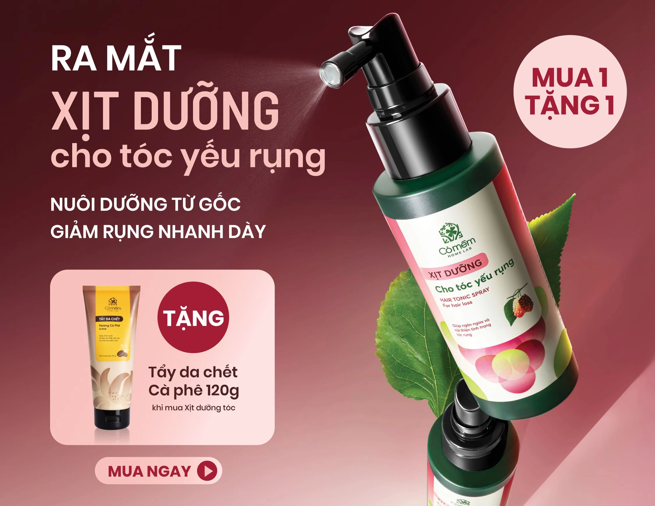 Banner Cỏ Mềm