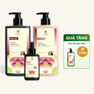 Bộ Chăm Sóc Tóc Ngăn Ngừa Rụng Tóc Dâu Tằm