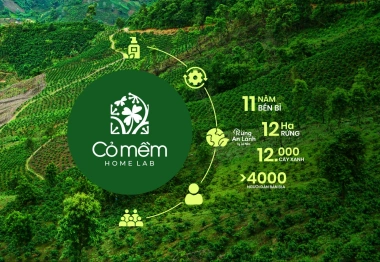 Cỏ Mềm ký kết hợp tác chiến lược, mở rộng dự án Rừng An Lành