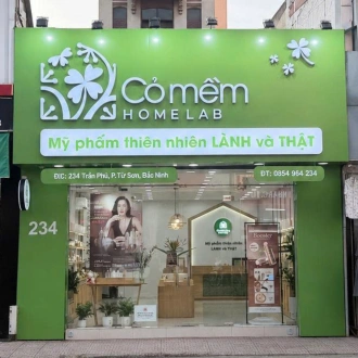 Cỏ Mềm Từ Sơn, Bắc Ninh