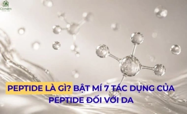 Peptide Là Gì? Bật Mí 7 Tác Dụng Của Peptide Đối Với Da