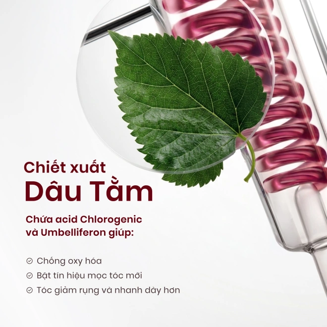Xịt Dưỡng Cho Tóc Yếu Rụng