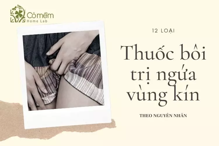 12 Thuốc bôi trị ngứa vùng kín nữ giới "dứt điểm cơn ngứa"