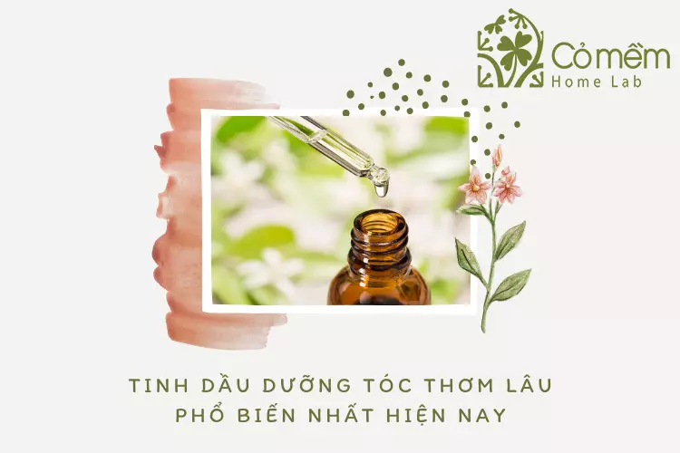 08 Tinh dầu dưỡng tóc thơm lâu "99% khách hàng hài lòng"