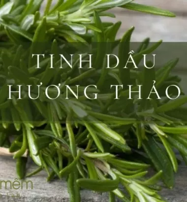 Tinh dầu hương thảo: top 9 công dụng và cách tự làm tại nhà