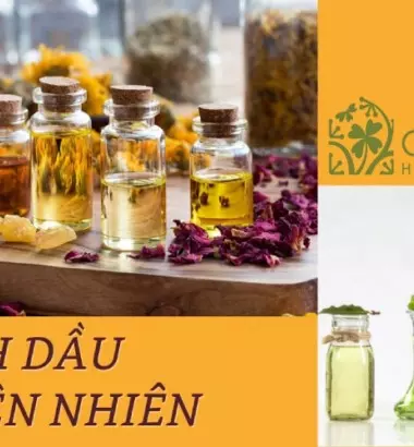 Tinh dầu thiên nhiên là gì? #3 Loại tinh dầu thảo mộc