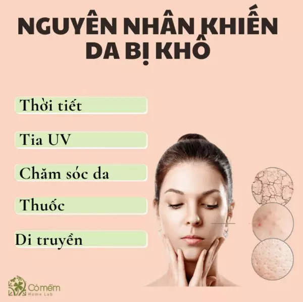 sữa rửa mặt dành cho da khô