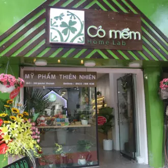 Cỏ Mềm Quán Thánh