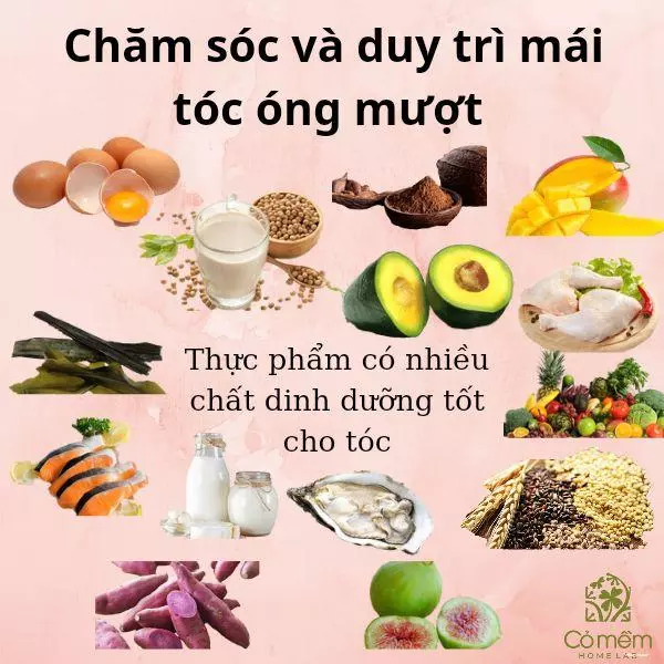 ăn gì cho tóc mọc nhanh