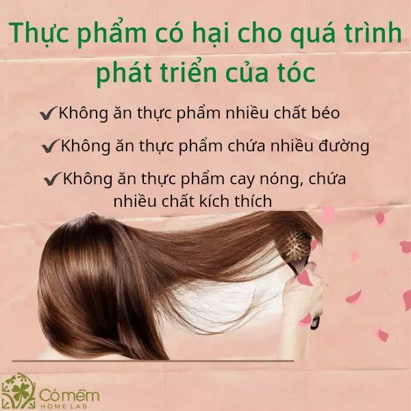 ăn gì để mọc tóc nhanh trong 1 tuần