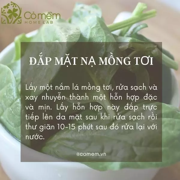 các loại mặt nạ thiên nhiên làm trắng da