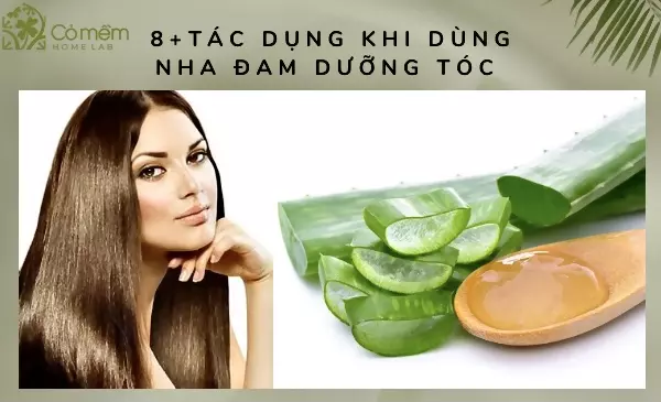 dưỡng tóc bằng nha đam