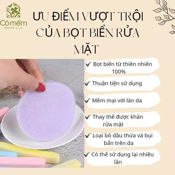 cách dùng bọt biển rửa mặt