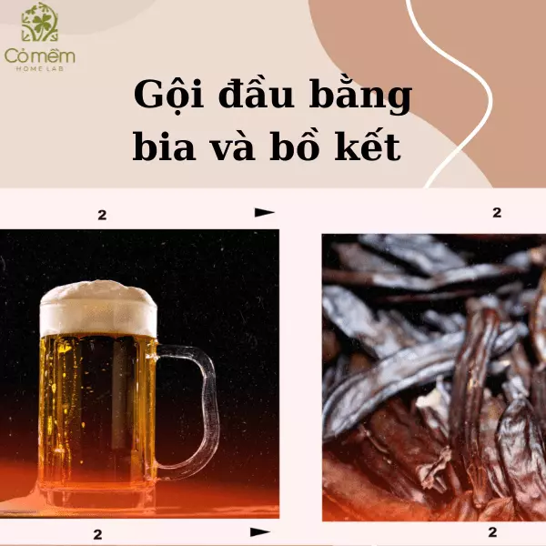 cách gội đầu bằng bia trị gàu