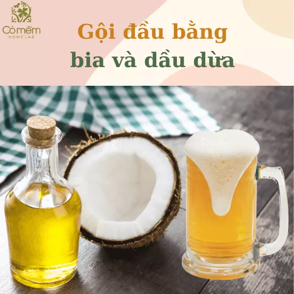 cách gội đầu với bia