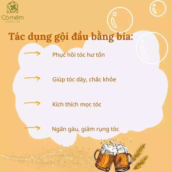 cách gội đầu bằng bia