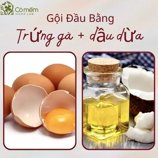 gội đầu bằng trứng gà có tác dụng gì