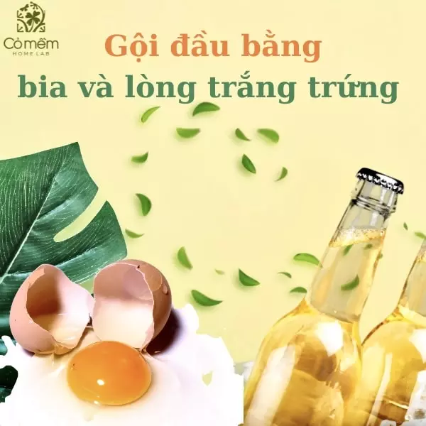 cách trị gàu bằng bia