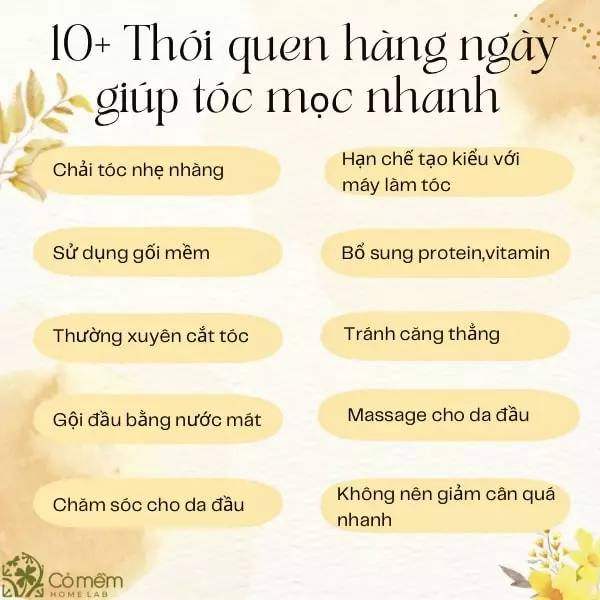 cách mọc tóc nhanh