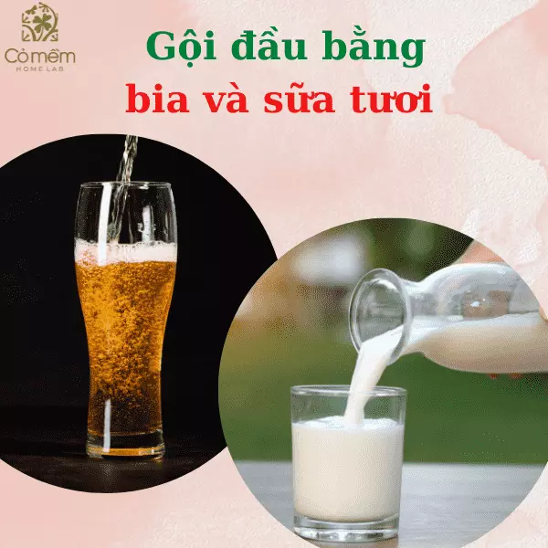 cách hết gàu bằng bia