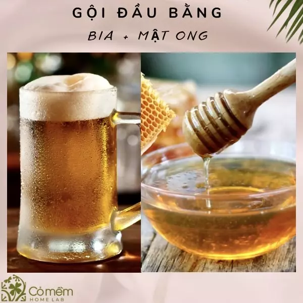 trị gàu bằng bia