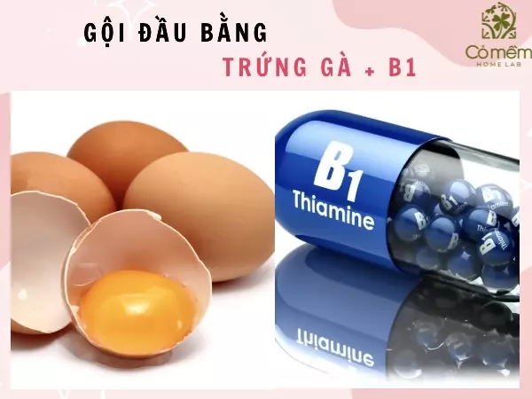 gội đầu với trứng gà có tác dụng gì