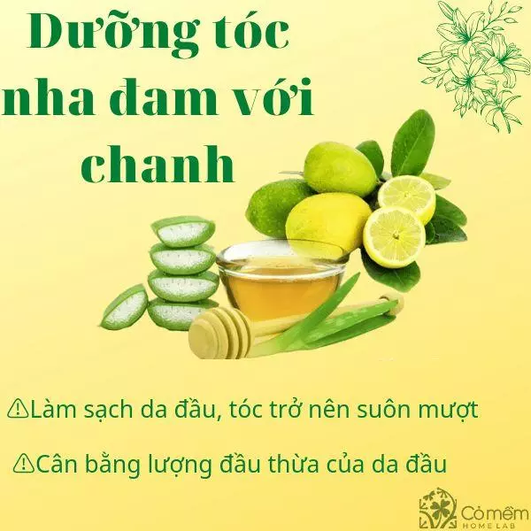 cách làm gel nha đam dưỡng tóc