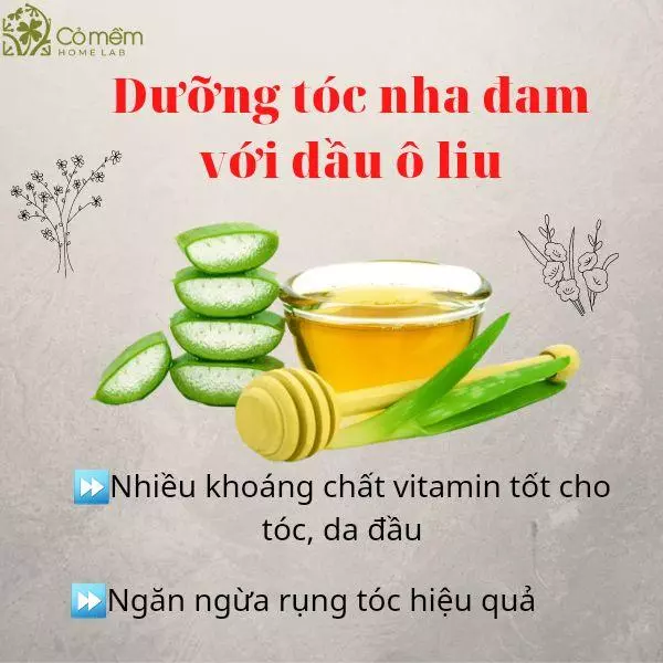 dùng nha đam dưỡng tóc