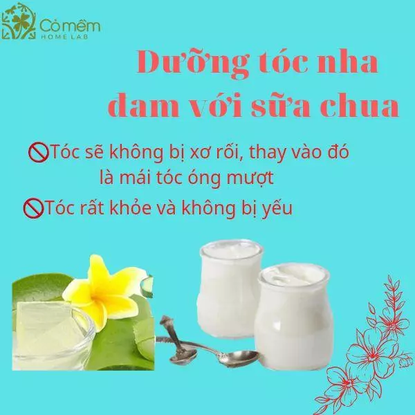 cách dùng nha đam dưỡng tóc