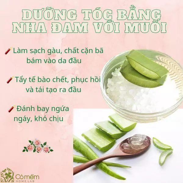 cách làm xịt dưỡng tóc từ nha đam