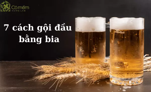 gội đầu bằng bia