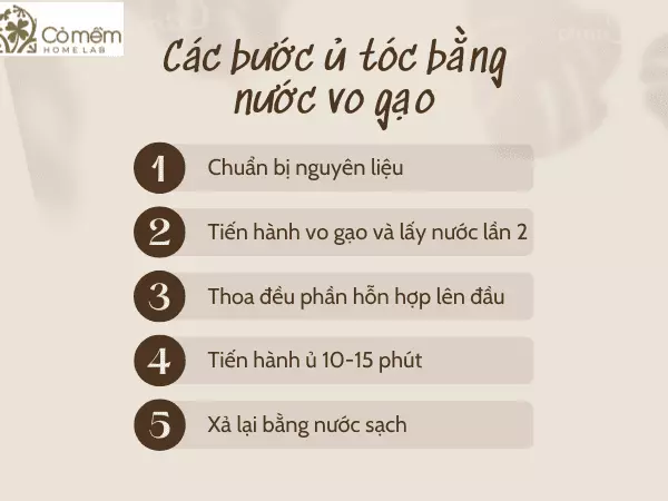 hướng dẫn gội đầu bằng nước vo gạo