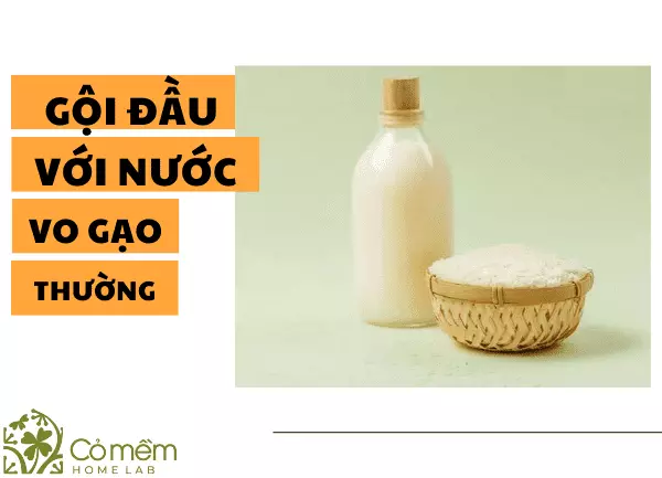 gội đầu bằng nước vo gạo có tốt không