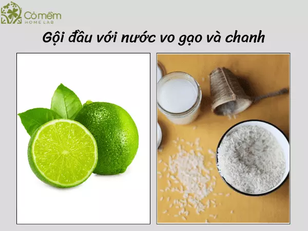 gội đầu bằng nước vo gạo mọc tóc