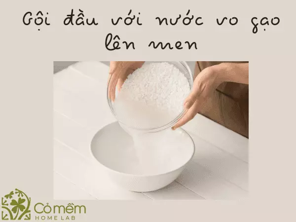 gội đầu bằng nước vo gạo để chua